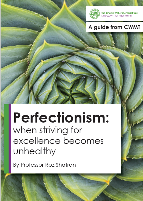 Perfectionism guide screenshot