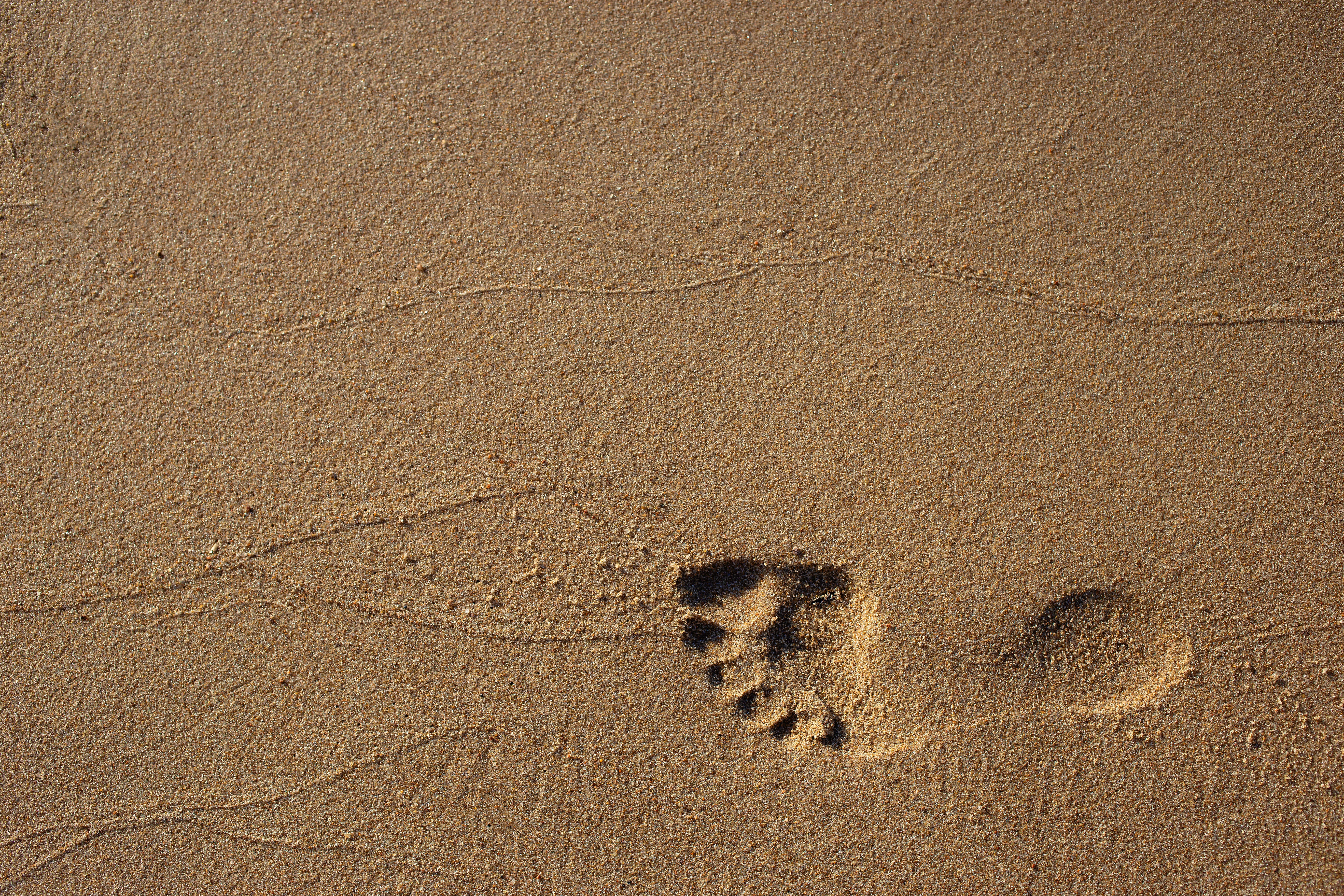 На песке остается след. Следы на песке. Отпечаток на песке. Отпечаток ноги на песке. Фон следы на песке.