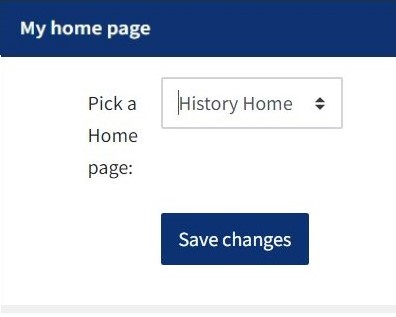 This image shows the option for choosing a homepage via a drop down menu.