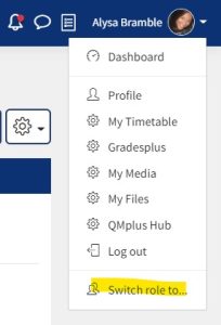 Profile Menu with the option to 'switch role to' another role highlighted