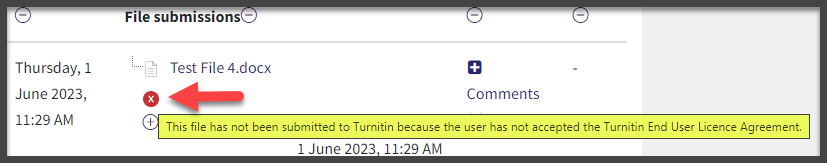 Screenshot showing a file that has not been submitted to Turnitin where the End User Licence Agreement has not been accepted.