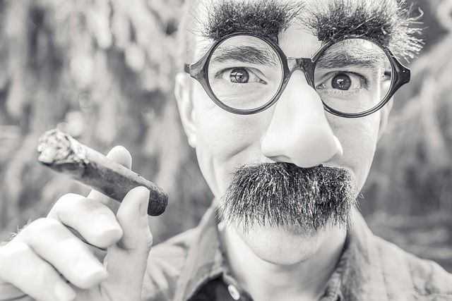 Man with cigar, fake  glasses, eyebrows and a  moustache. It is a joke image.