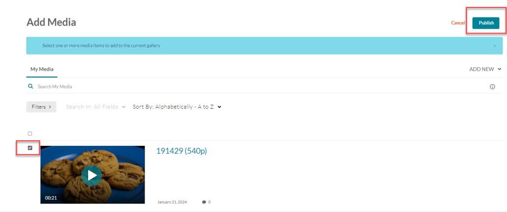 Box next to a video ticked and the publish button in a red box