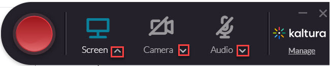 Buttons in red to reveal options for screen, camera and audio