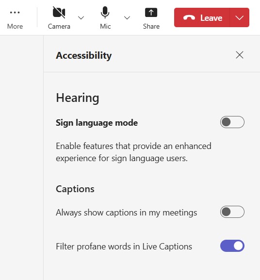 Image showing the Accessibility pane which opens in the meeting window.