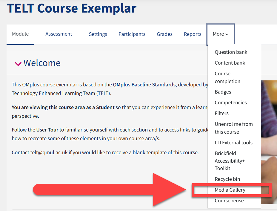 How to get to your module's media gallery