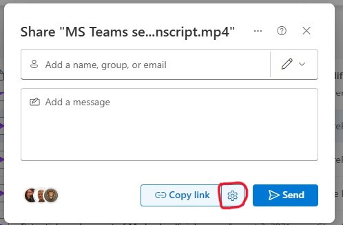 Image highlighting the Copy link settings button